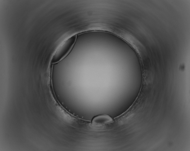 X0000089931140200707131427