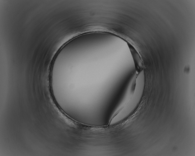 X0000089931142200707131427