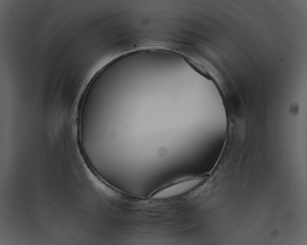 X0000089931143200707131427