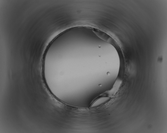 X0000089931144200707131427