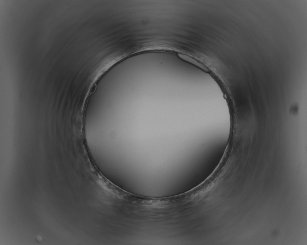 X0000089931145200707131427