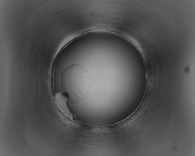 X0000089931146200707131427