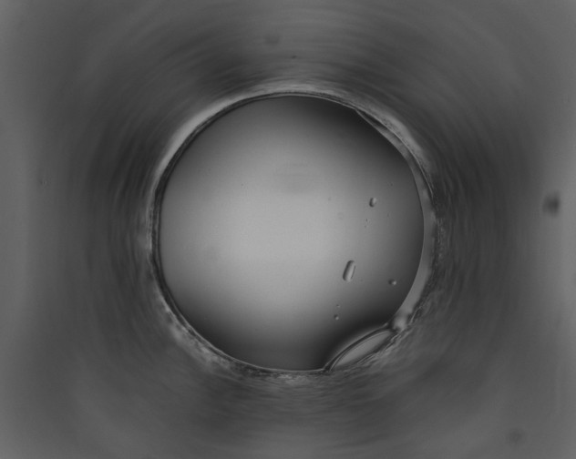 X0000089931148200707131427