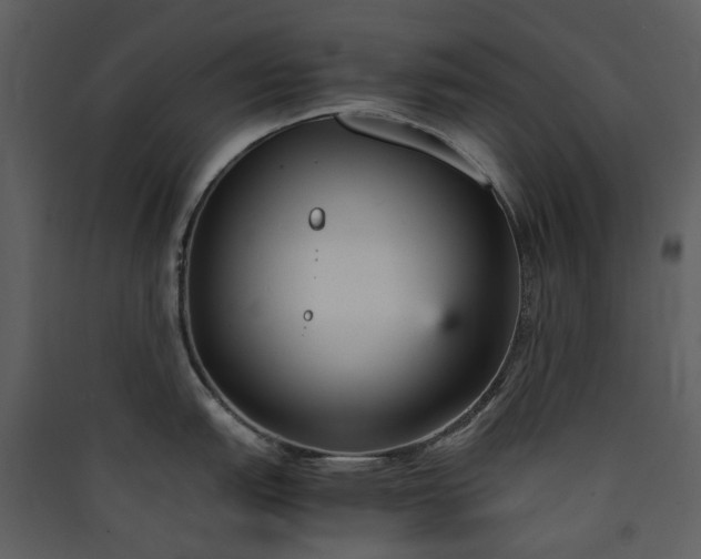 X0000089931151200707131427