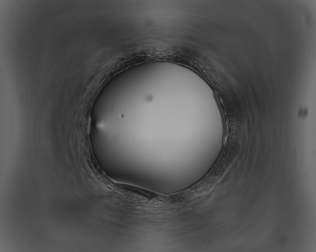 X0000089931153200707131426