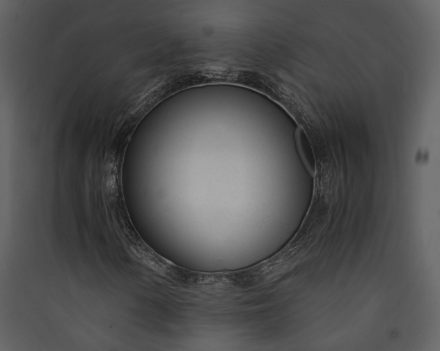 X0000089931154200707131426