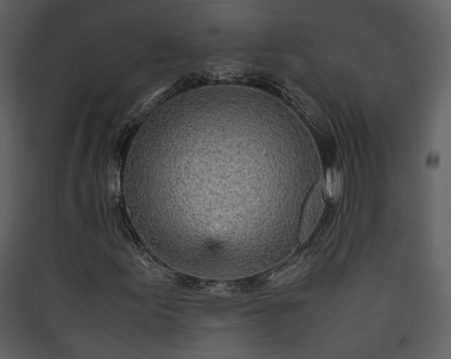 X0000089931155200707131426