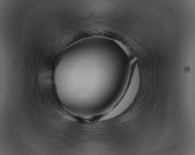 X0000089931156200707131426