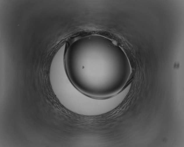 X0000089931157200707131426