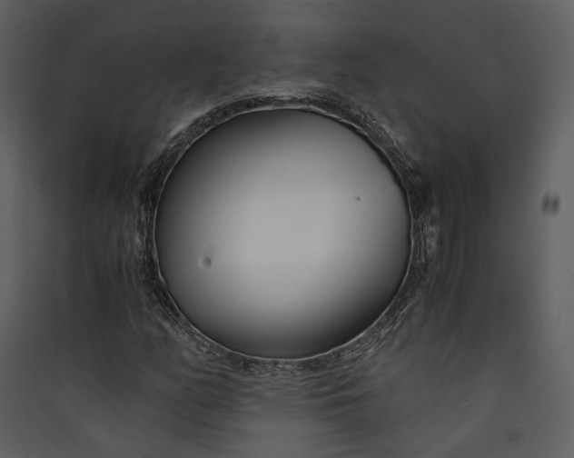 X0000089931158200707131426