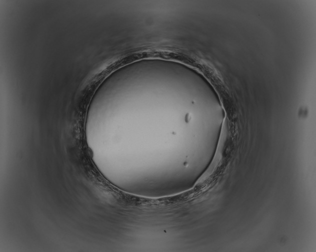 X0000089931159200707131426