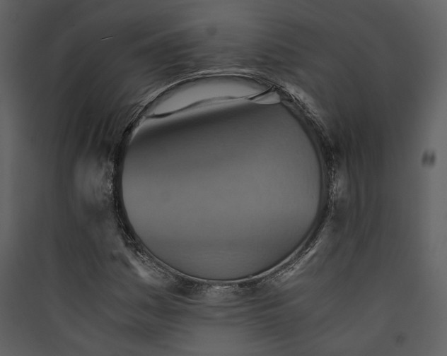 X0000089931161200707131426