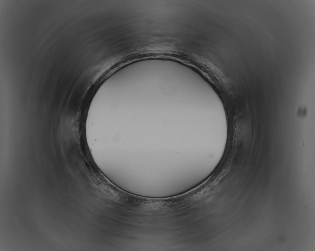 X0000089931162200707131426