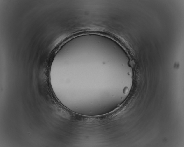 X0000089931163200707131426