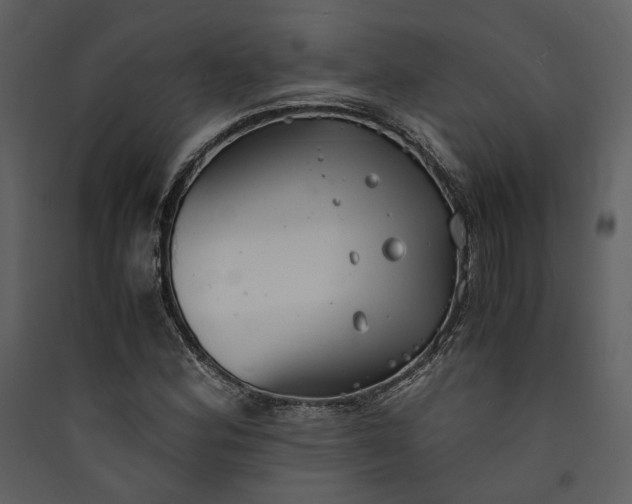 X0000089931164200707131426