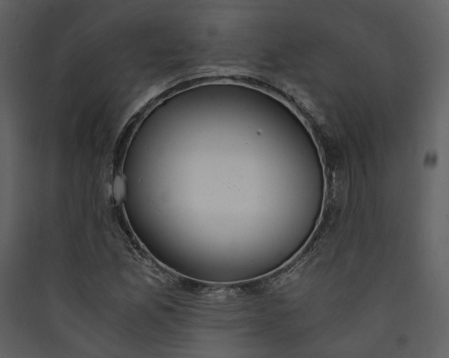 X0000089931165200707131426