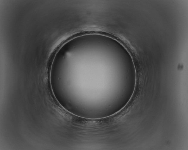 X0000089931167200707131426