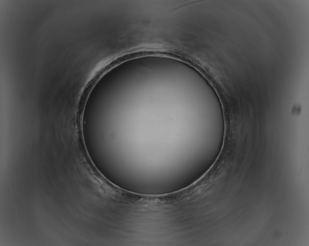 X0000089931168200707131426