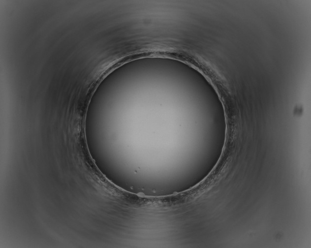 X0000089931169200707131426