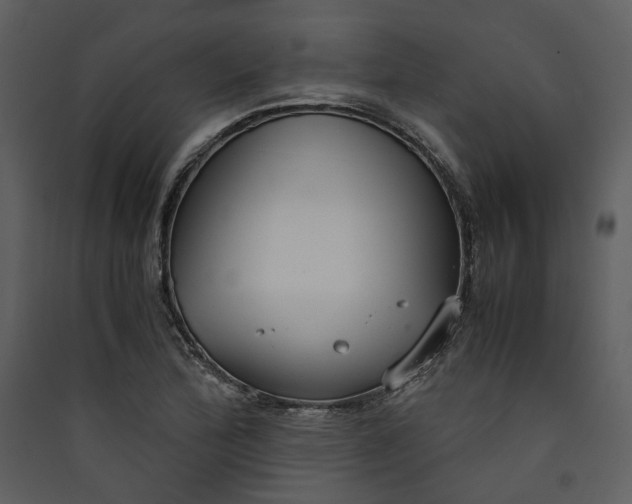 X0000089931172200707131426