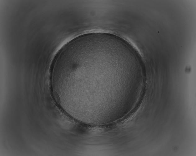 X0000089931173200707131426