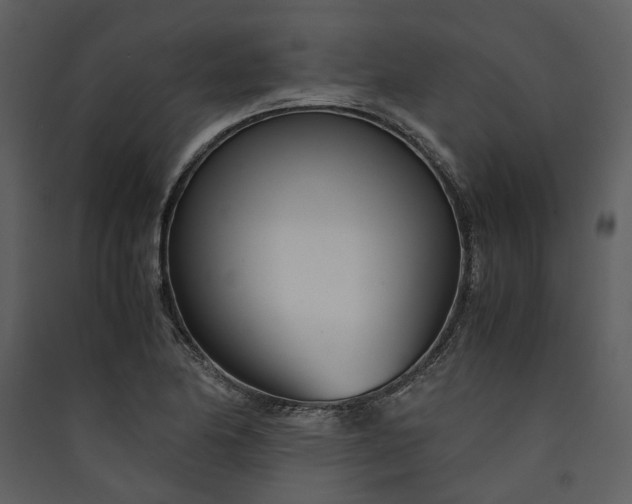 X0000089931174200707131426