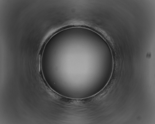 X0000089931175200707131426