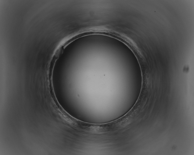 X0000089931176200707131426