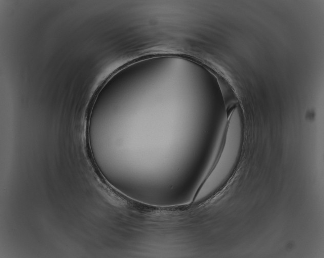 X0000089931179200707131426