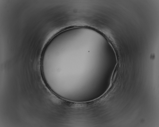 X0000089931183200707131426