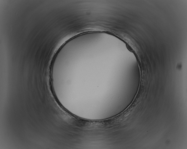 X0000089931187200707131426