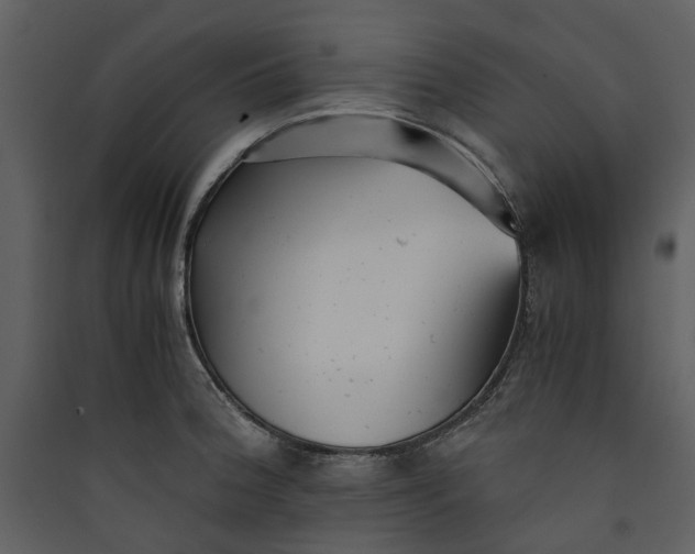 X0000089931188200707131426