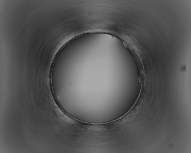 X0000089931189200707131426