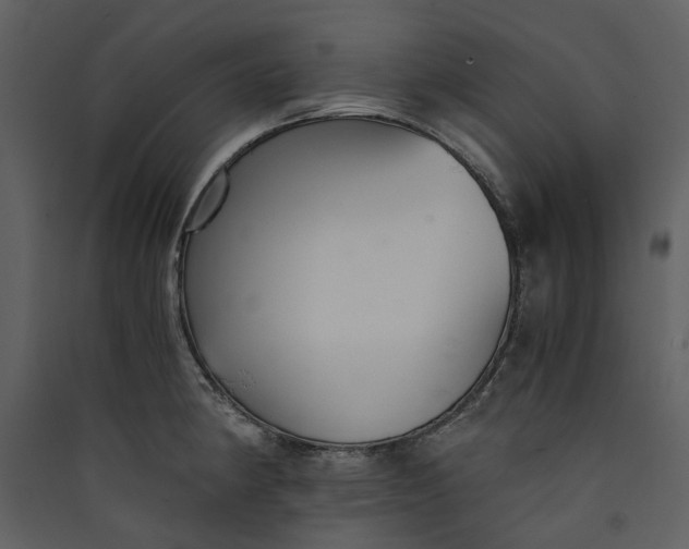 X0000089931190200707131425