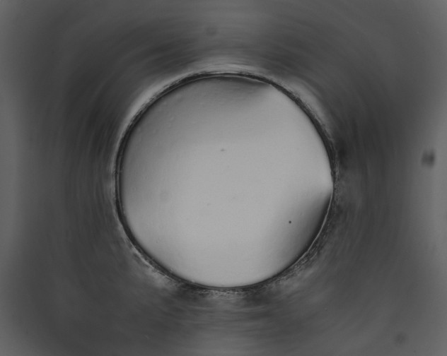 X0000089931191200707131425