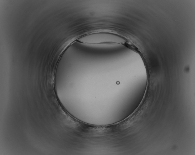 X0000089931193200707131425