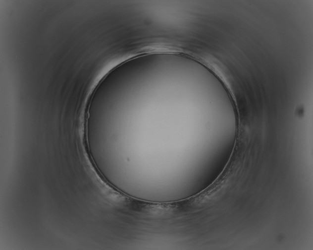 X0000089931195200707131425