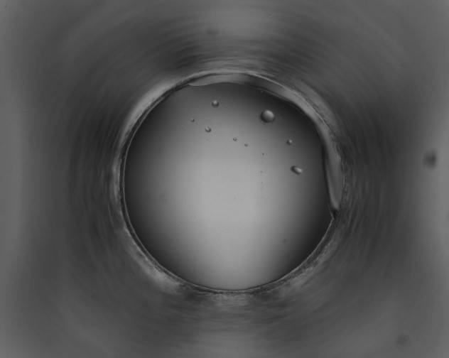 X0000089931196200707131425