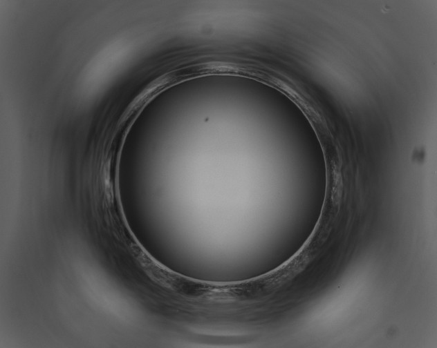 X0000089931198200707131425