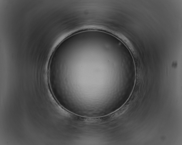 X0000089931199200707131425