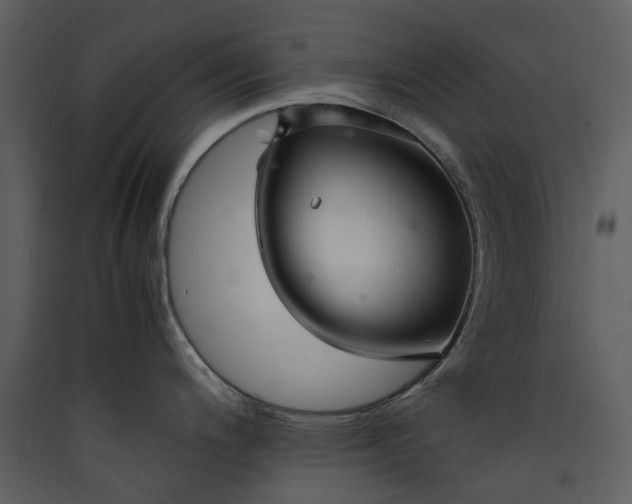 X0000089931200200707131425