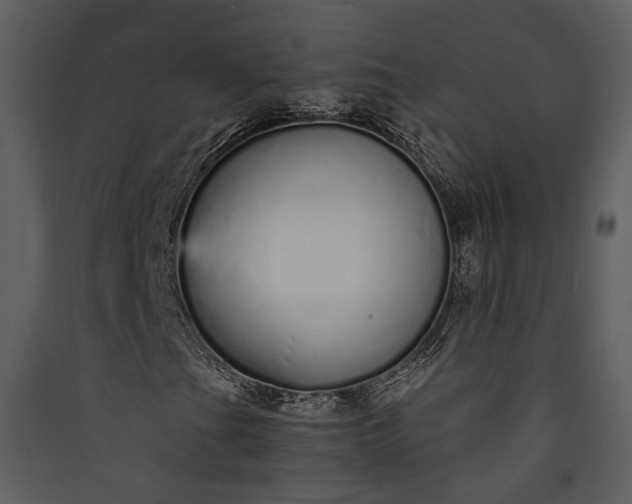 X0000089931201200707131425