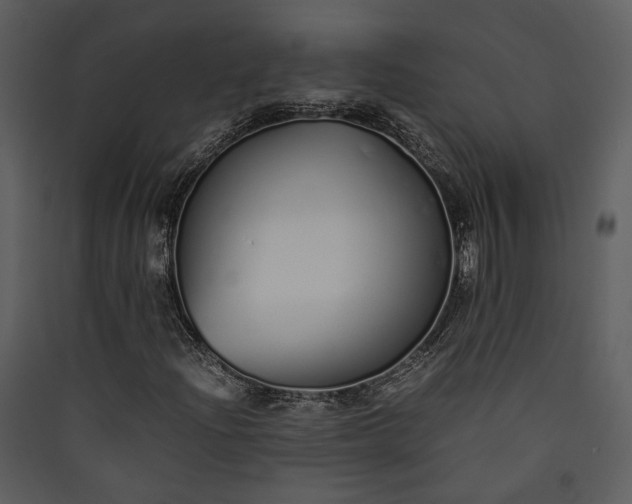 X0000089931204200707131425