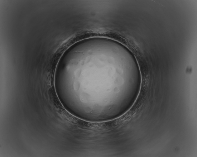 X0000089931205200707131425