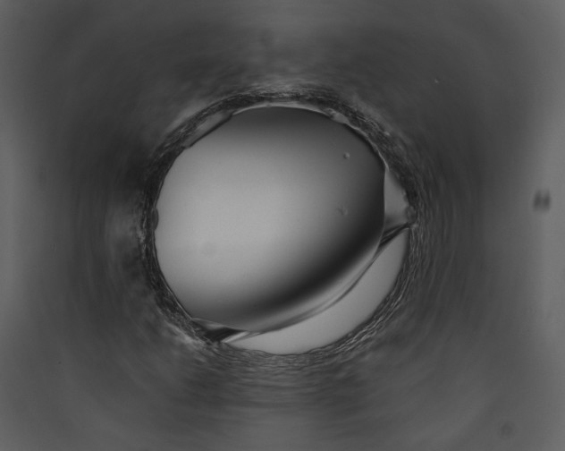 X0000089931206200707131425