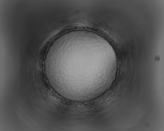 X0000089931207200707131425