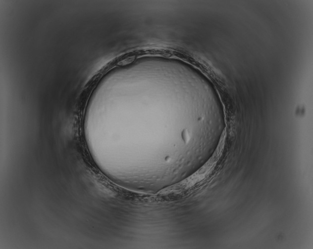 X0000089931208200707131425