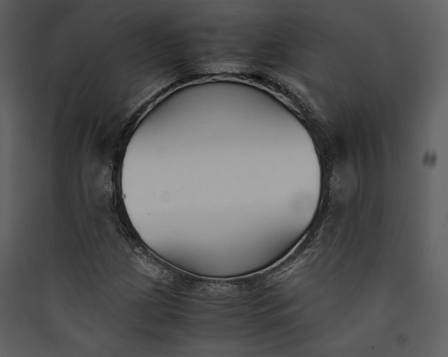 X0000089931209200707131425