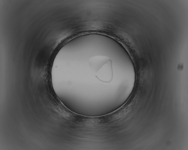 X0000089931210200707131425