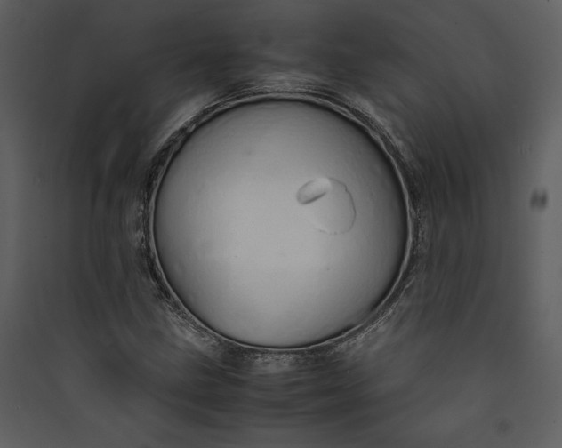 X0000089931211200707131425